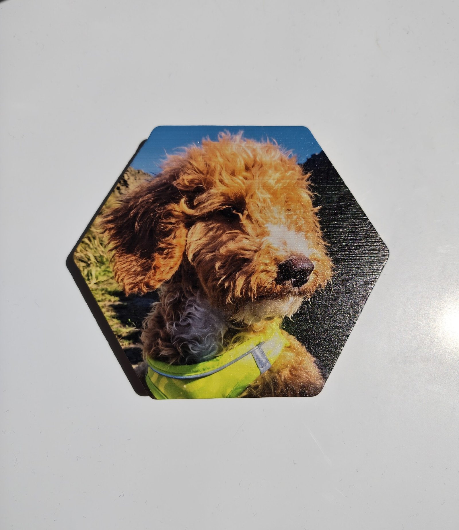 Fully Customisable Coasters - Image 2